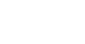 Company purpose